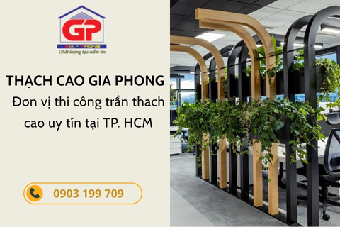 15+ mẫu cây cảnh trang trí văn phòng đẹp, hiện đại hot nhất 2025