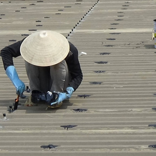 Công trình chống thấm chống dột
